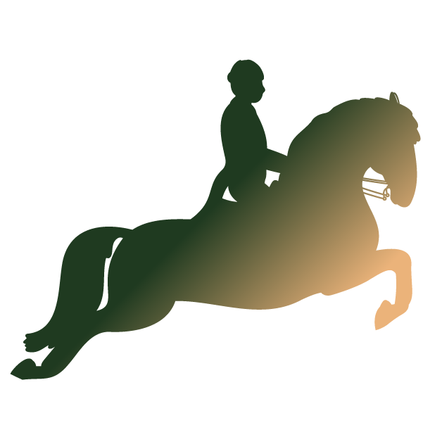 Specialized in dressage and equestrian art with years of experience