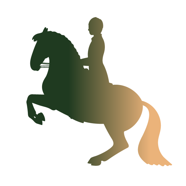 We demand the maximum in every selection to achieve the horse of your dreams